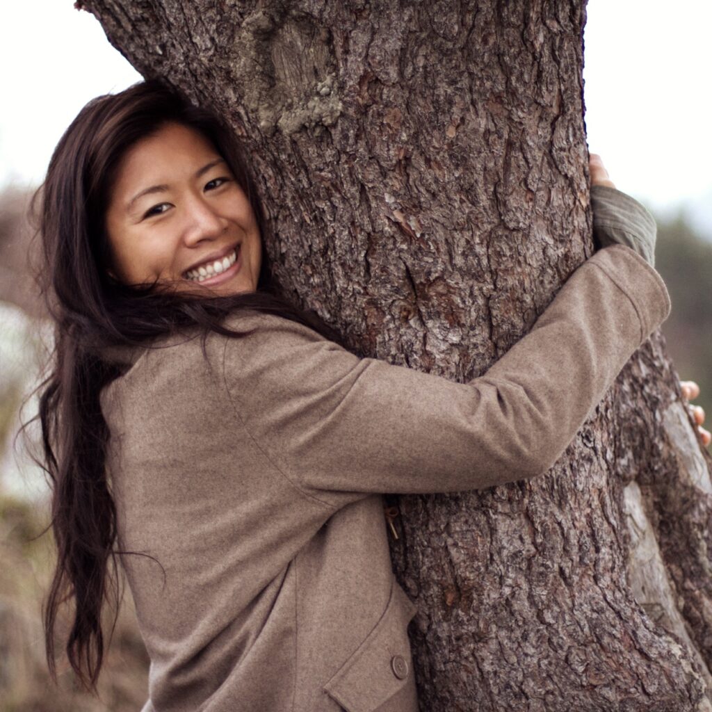 The programs featured image